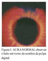 Figura 1 Figura 1
